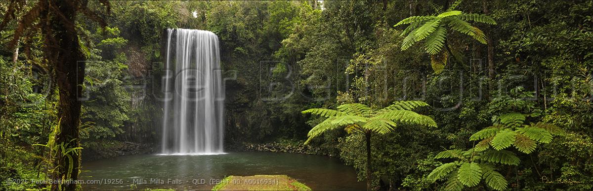 Peter Bellingham Photography Milla Milla Falls - QLD (PBH4 00 A0016934)